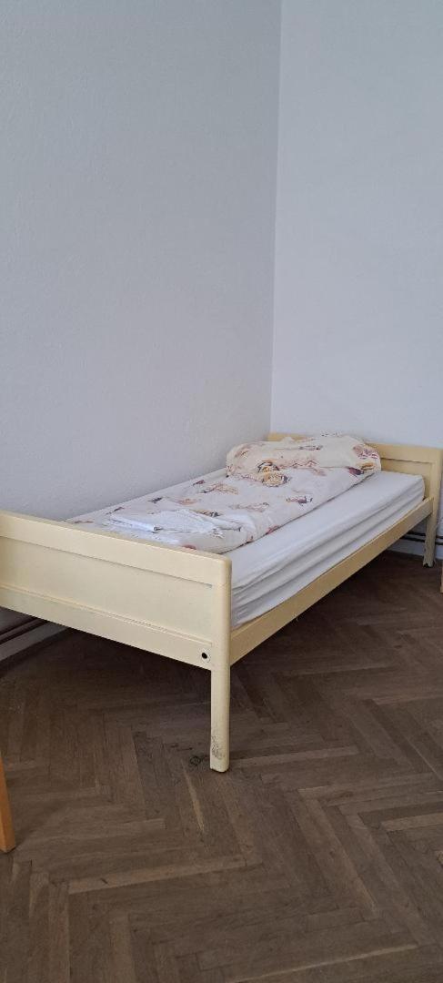 Gaestehaus Făgăraş エクステリア 写真
